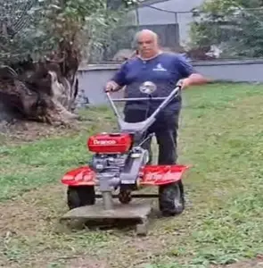 srfernado